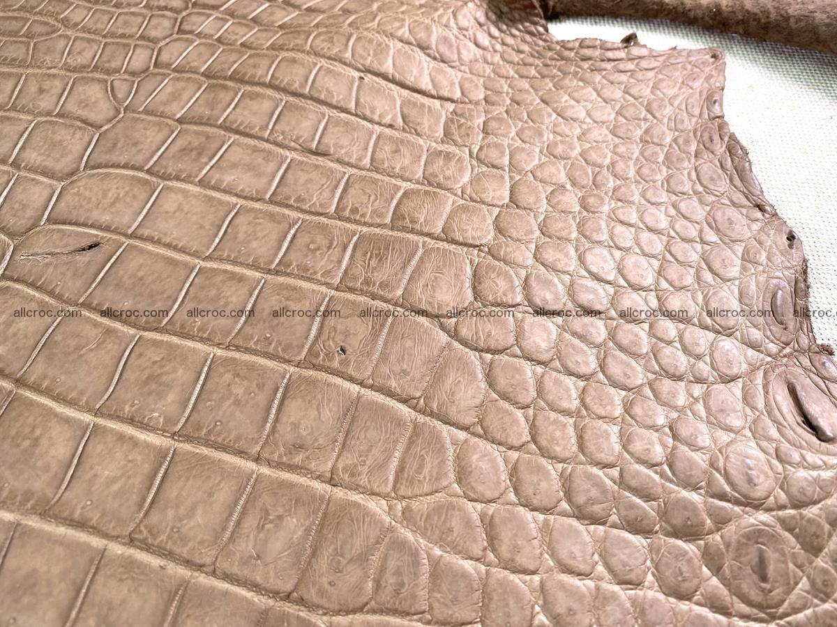 Crocodile skin belly part 42cm brown color 1479 Foto 17