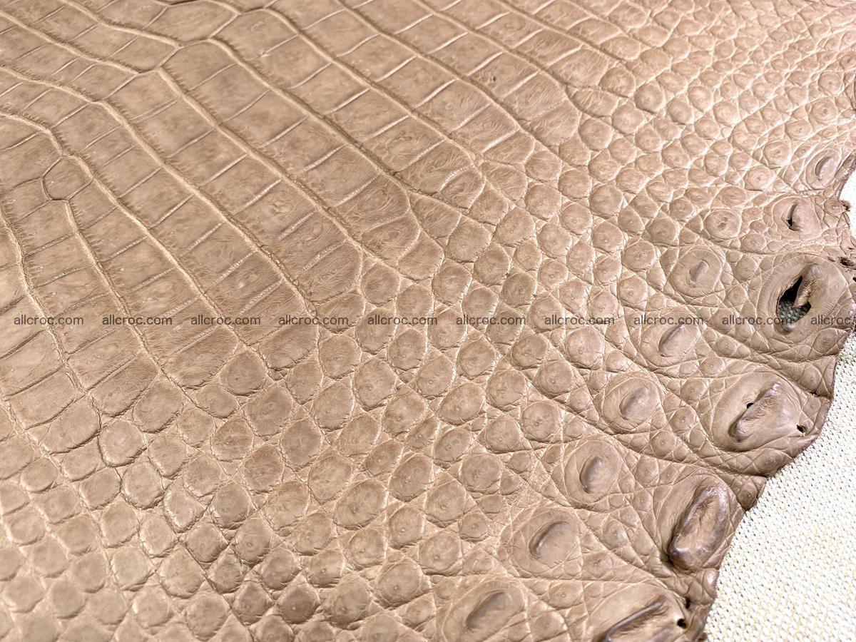 Crocodile skin belly part 42cm brown color 1479 Foto 12