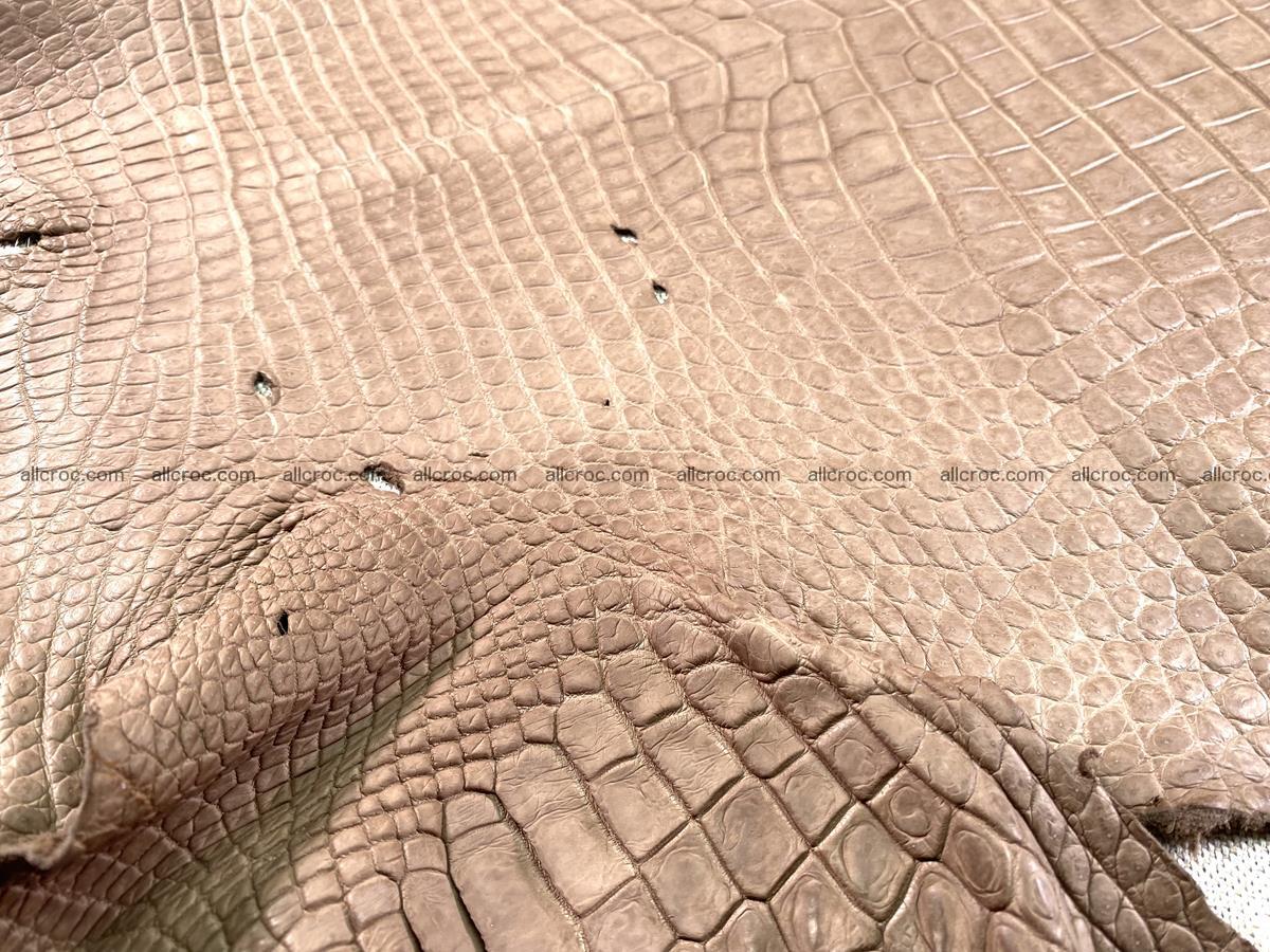 Crocodile skin belly part 42cm brown color 1479 Foto 7