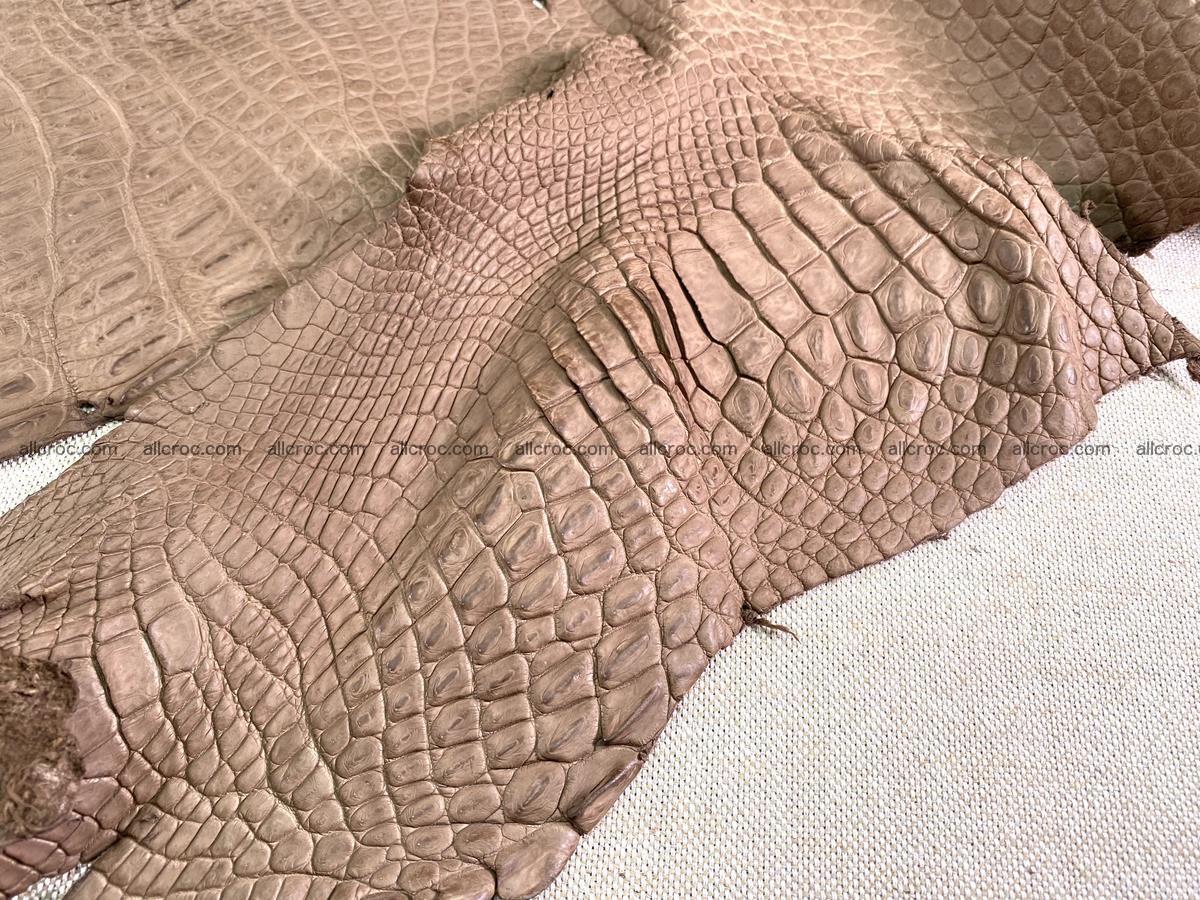 Crocodile skin belly part 42cm brown color 1479 Foto 13