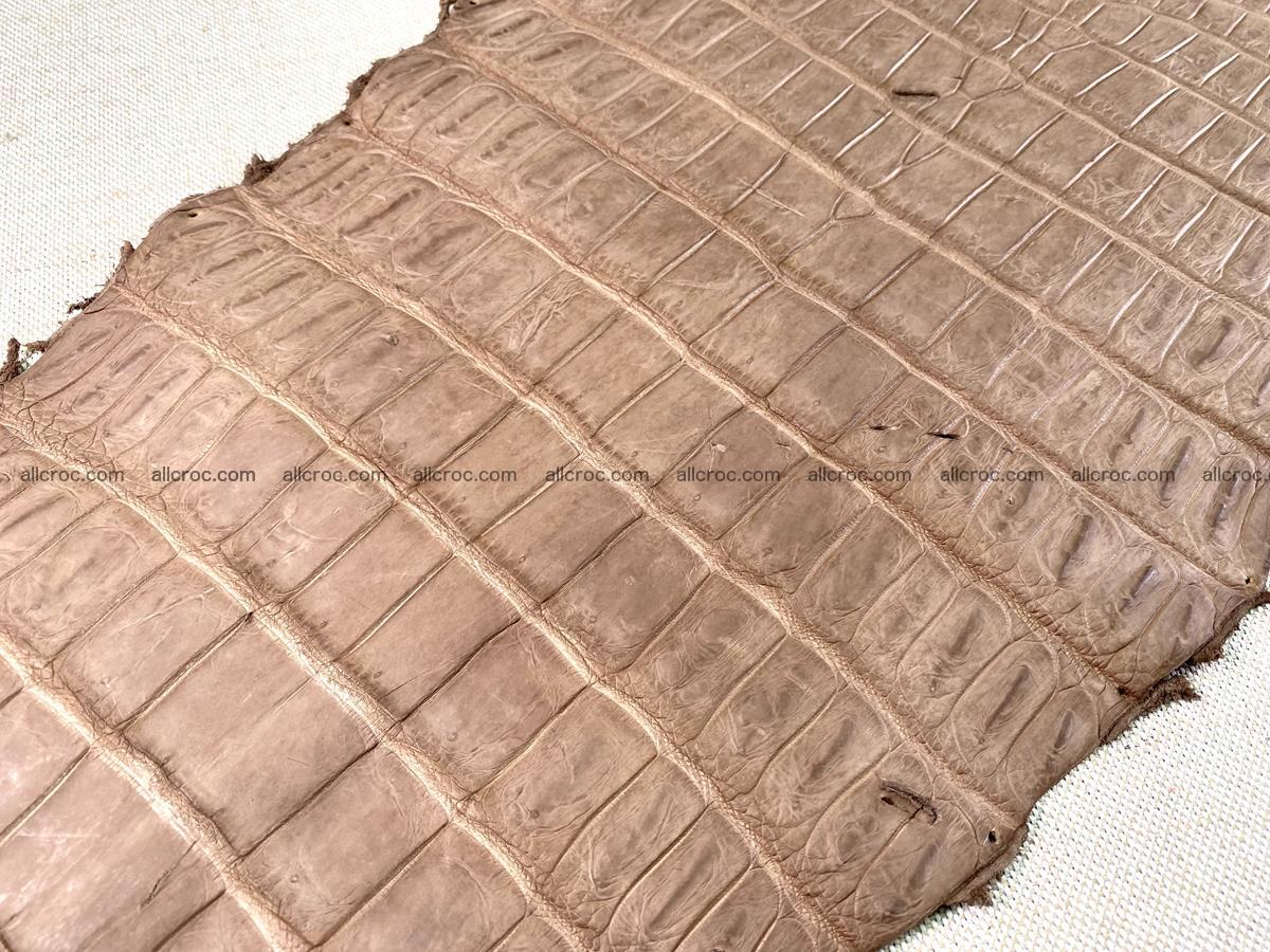 Crocodile skin belly part 42cm brown color 1479 Foto 14