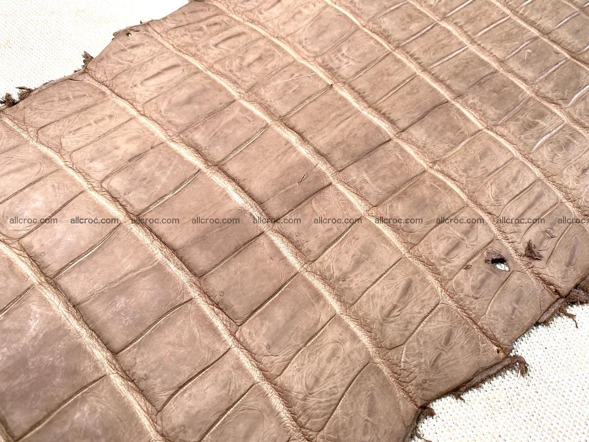 Crocodile skin belly part 42cm brown color 1479 Foto 5
