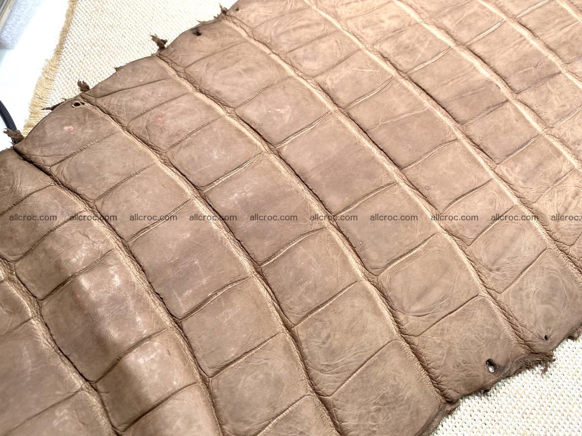 Crocodile skin belly part 42cm brown color 1479 Foto 8