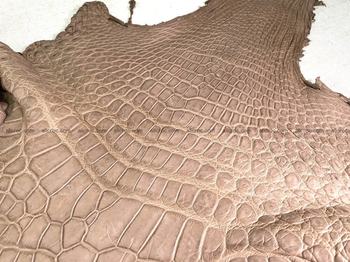 Crocodile skin belly part 49cm brown color 1480 Foto 4
