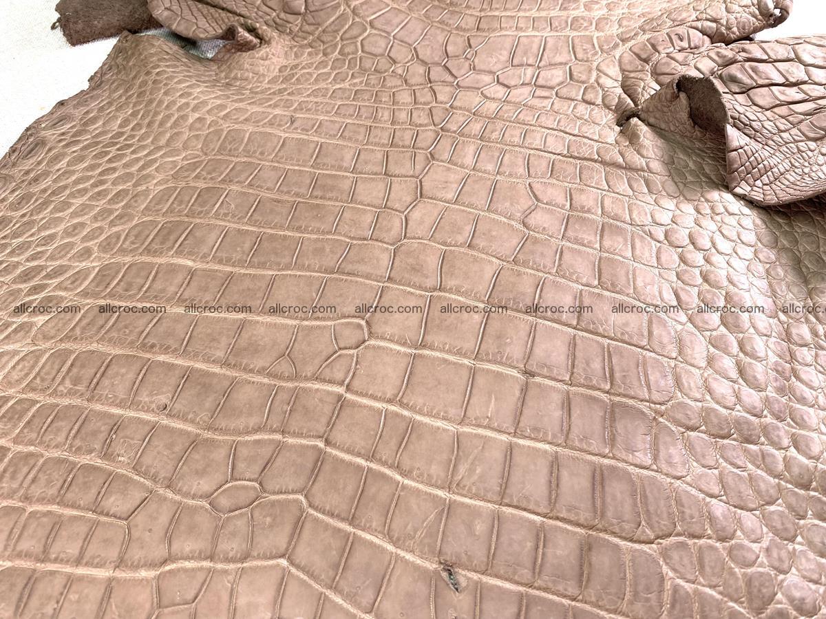 Crocodile skin belly part 49cm brown color 1480 Foto 7