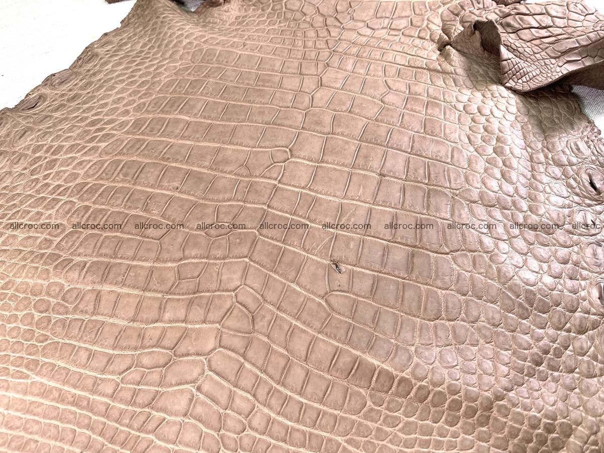 Crocodile skin belly part 49cm brown color 1480 Foto 11