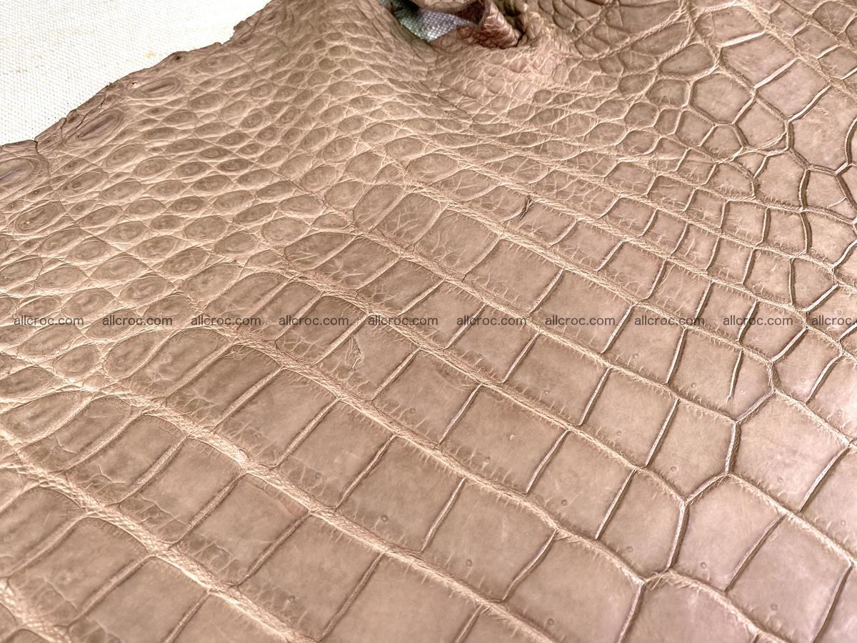 Crocodile skin belly part 49cm brown color 1480 Foto 1