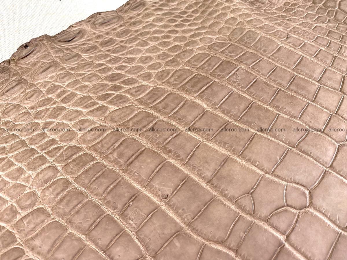 Crocodile skin belly part 49cm brown color 1480 Foto 9
