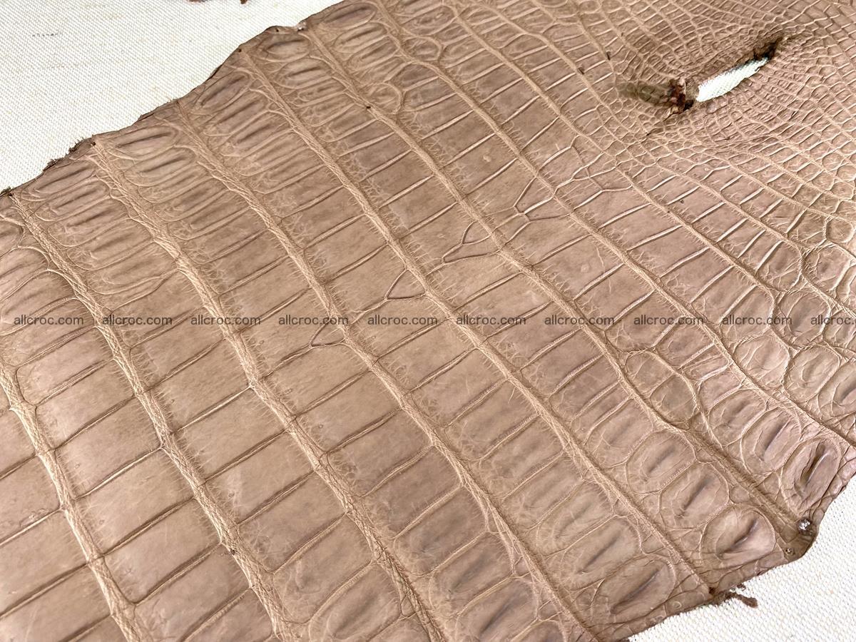 Crocodile skin belly part 49cm brown color 1480 Foto 21