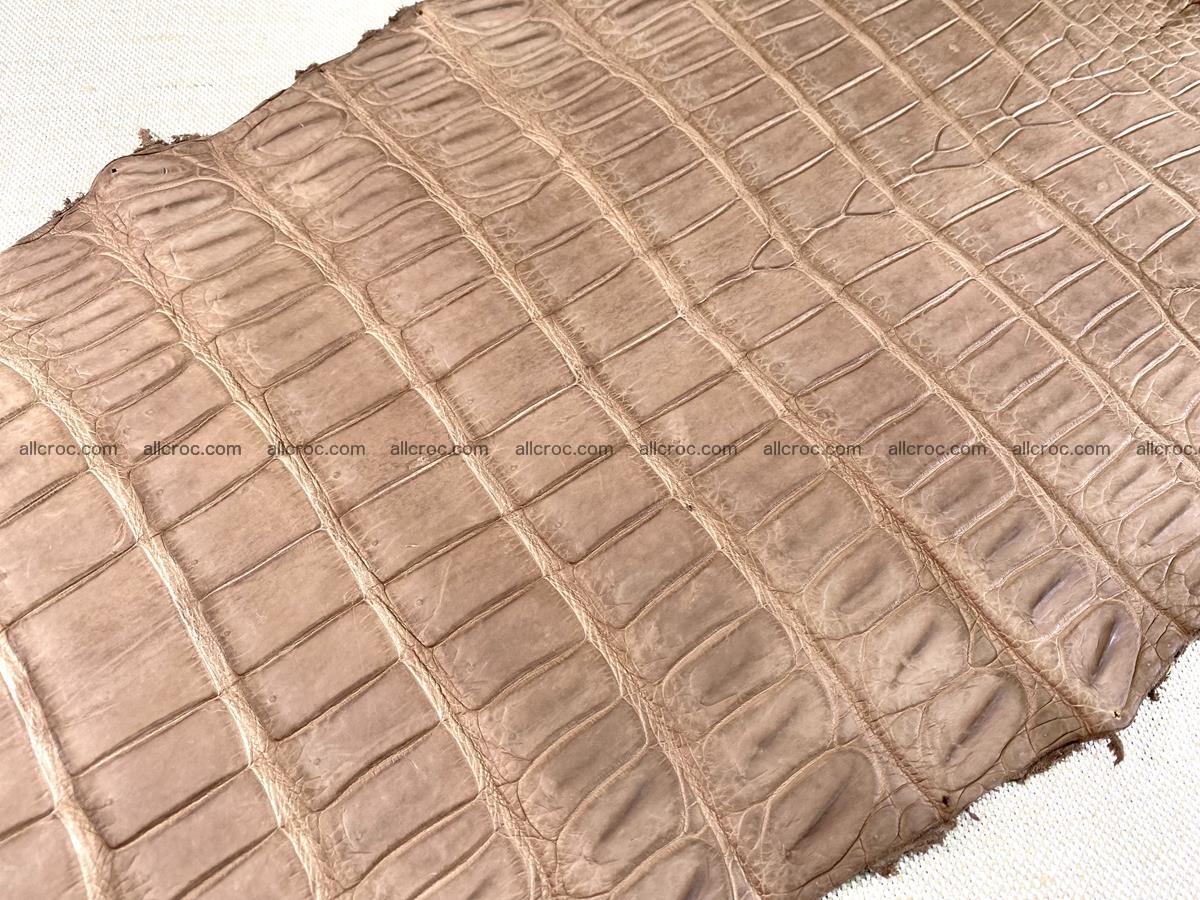 Crocodile skin belly part 49cm brown color 1480 Foto 18