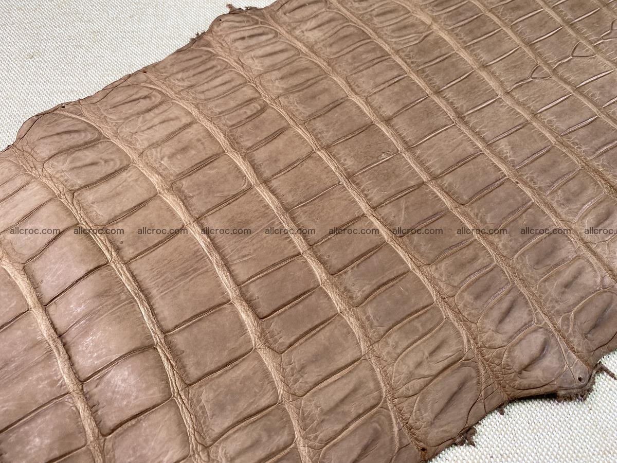 Crocodile skin belly part 49cm brown color 1480 Foto 17