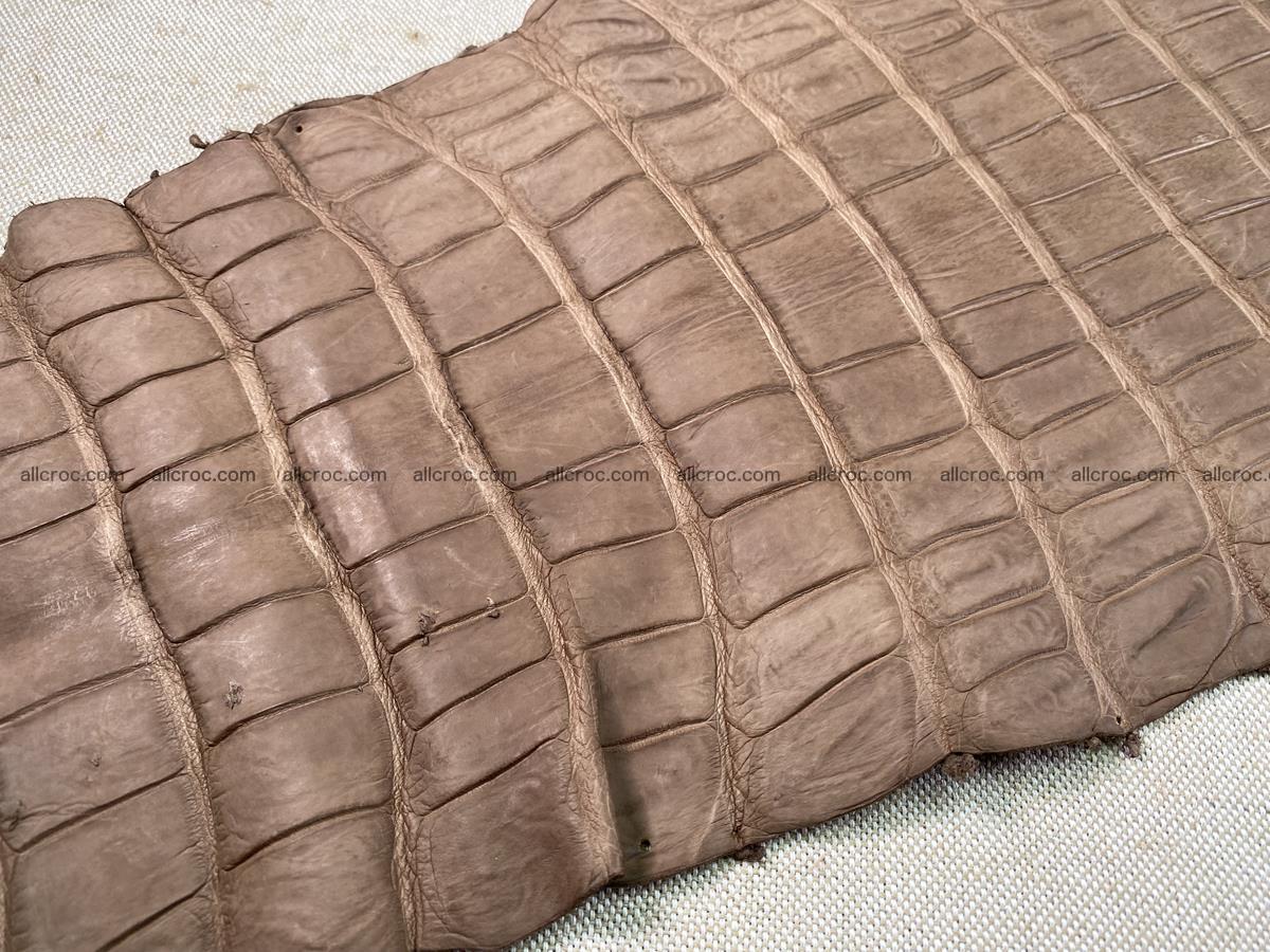 Crocodile skin belly part 49cm brown color 1480 Foto 14