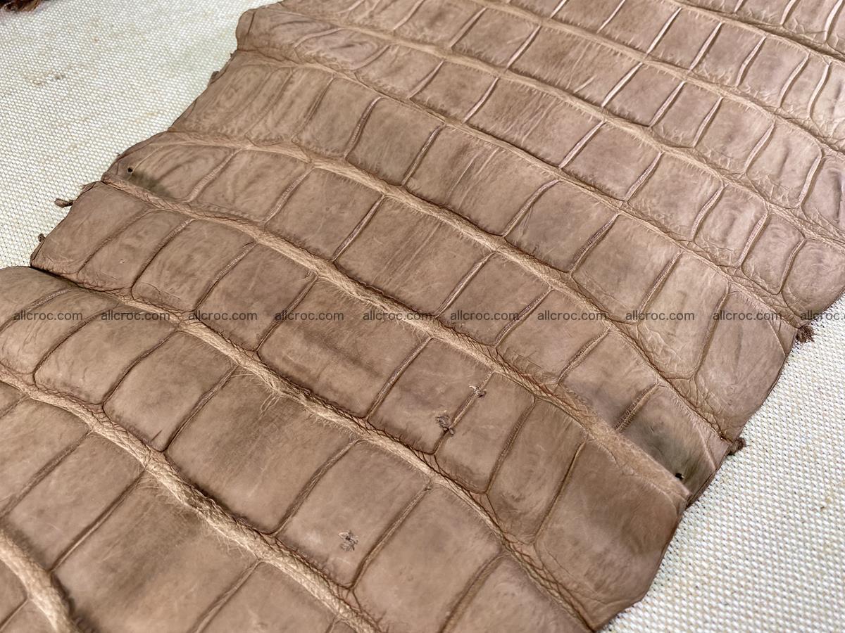Crocodile skin belly part 49cm brown color 1480 Foto 20