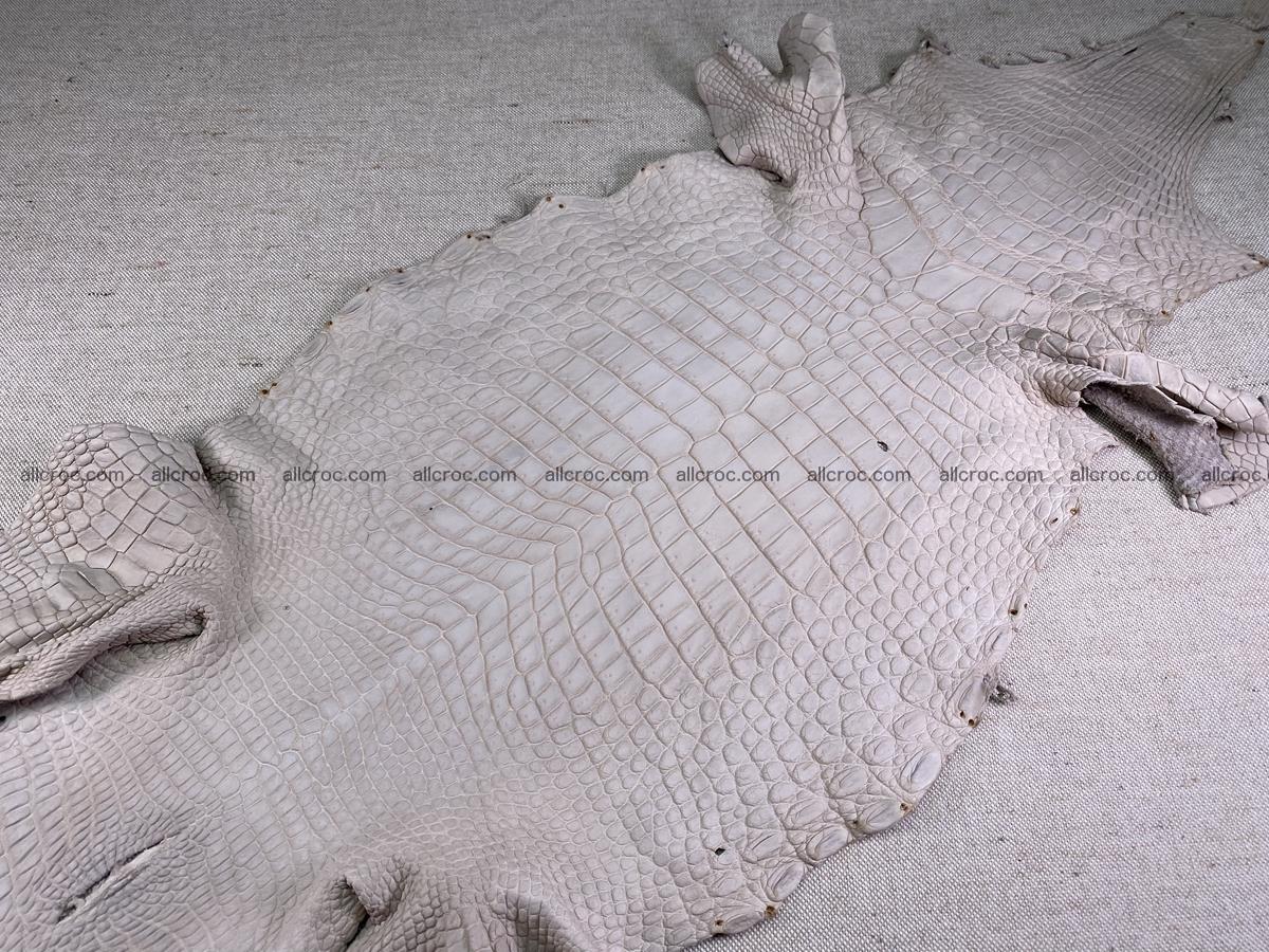 Crocodile skin belly part 30cm cappuccino color 1509 Foto 1