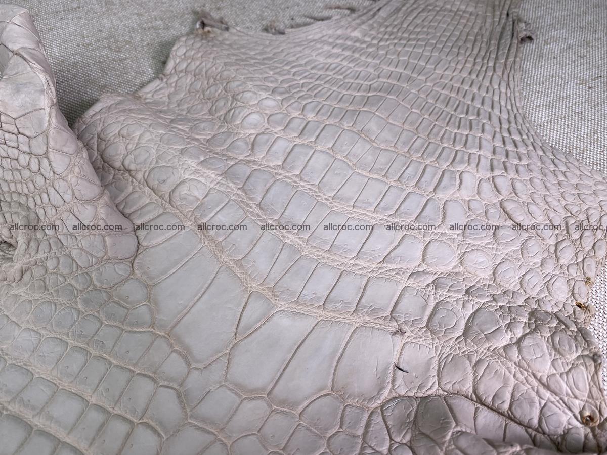 Crocodile skin belly part 30cm cappuccino color 1509 Foto 2