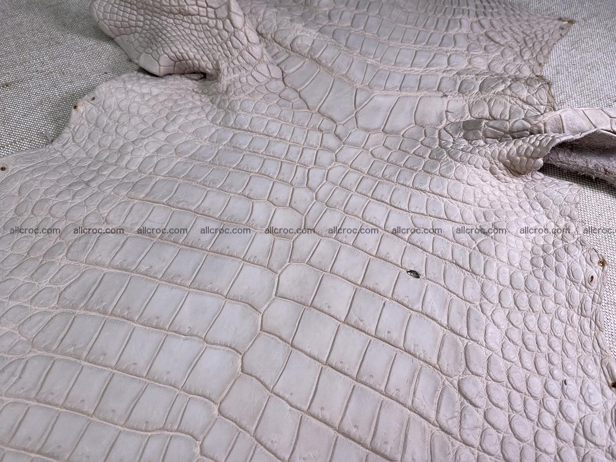 Crocodile skin belly part 30cm cappuccino color 1509 Foto 0