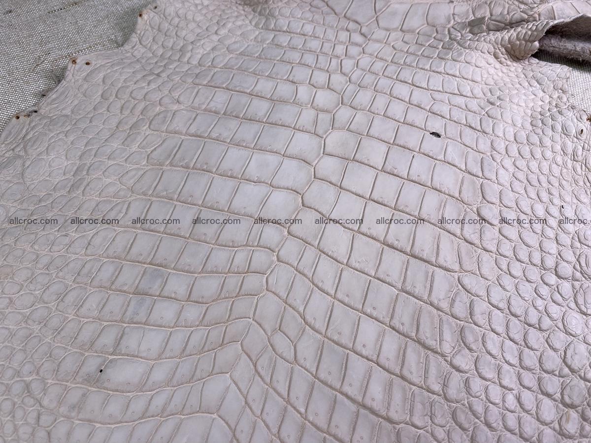 Crocodile skin belly part 30cm cappuccino color 1509 Foto 3