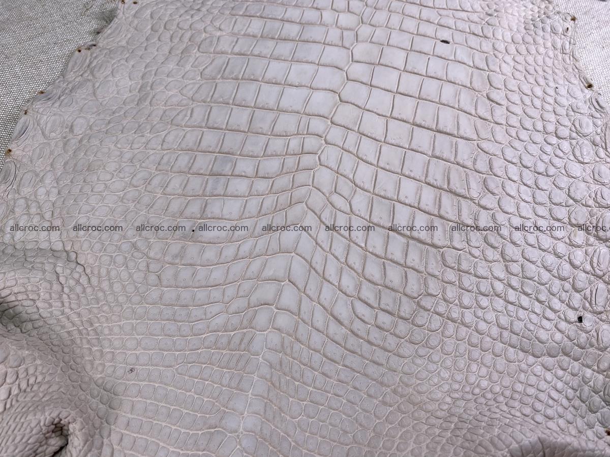 Crocodile skin belly part 30cm cappuccino color 1509 Foto 4
