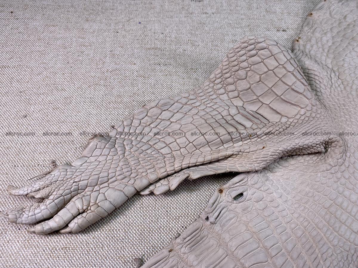 Crocodile skin belly part 30cm cappuccino color 1509 Foto 9