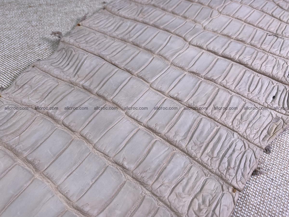 Crocodile skin belly part 30cm cappuccino color 1509 Foto 12