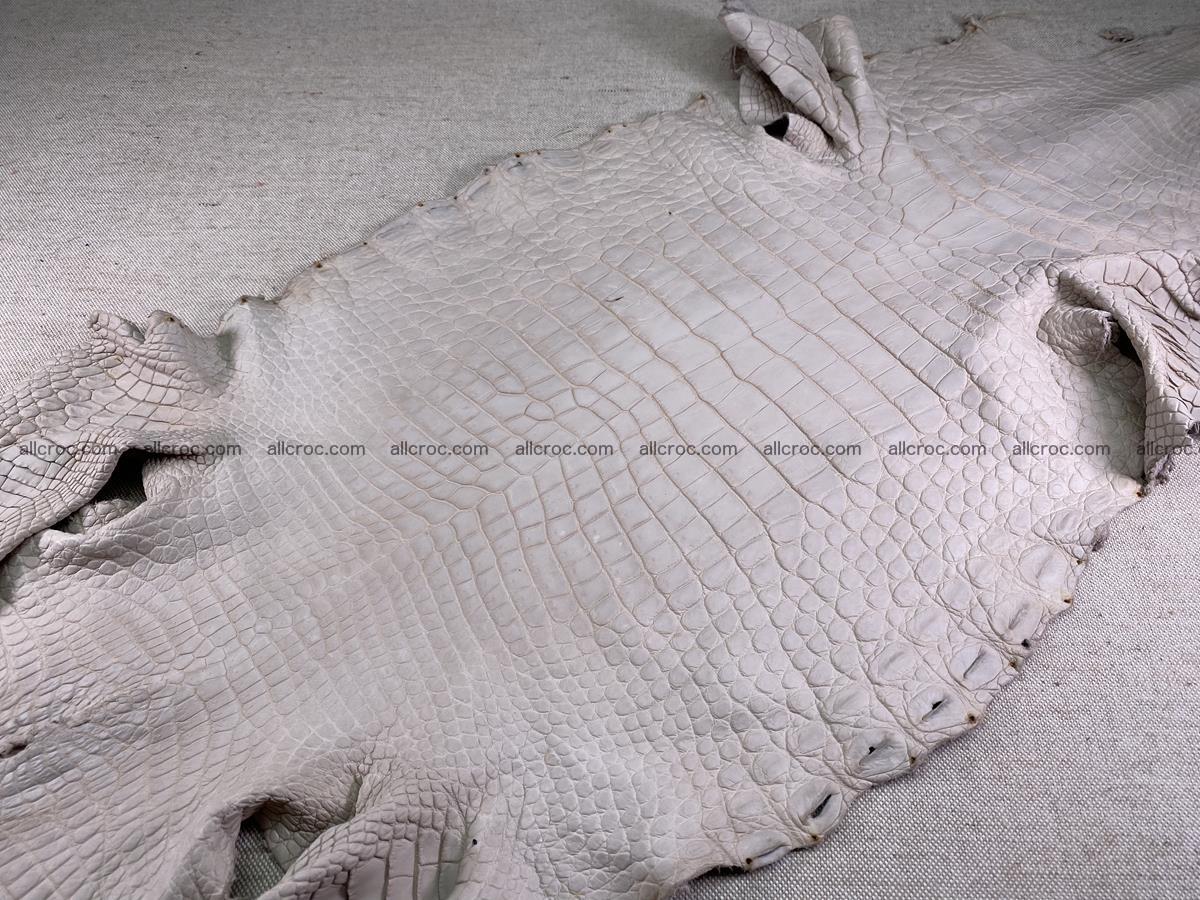 Crocodile skin belly part 40cm cappuccino color 1510 Foto 1