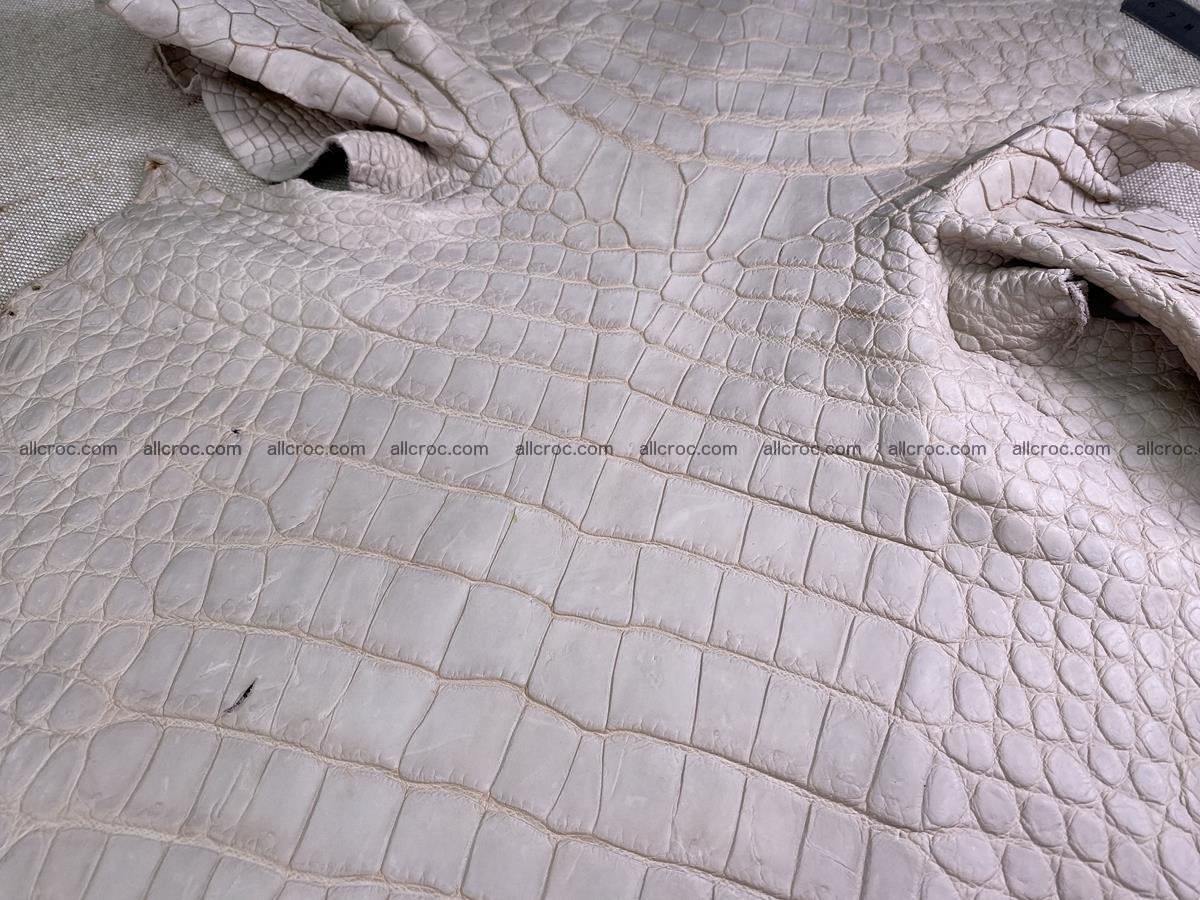 Crocodile skin belly part 40cm cappuccino color 1510 Foto 3