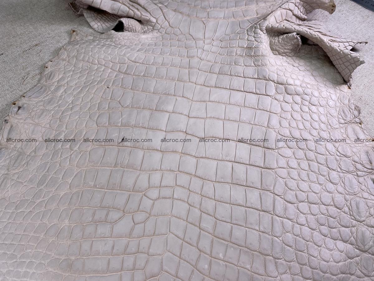 Crocodile skin belly part 40cm cappuccino color 1510 Foto 0