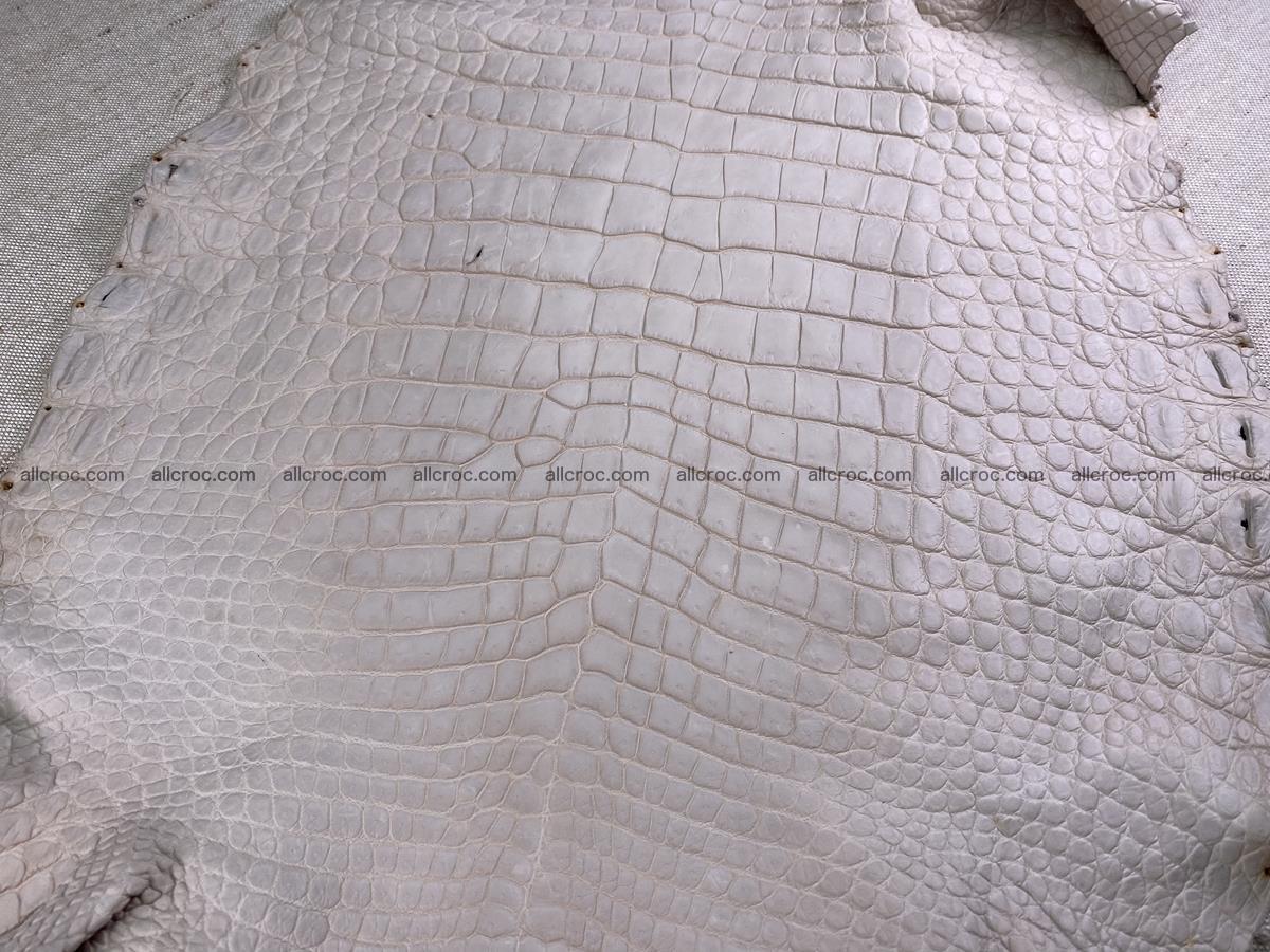 Crocodile skin belly part 40cm cappuccino color 1510 Foto 4