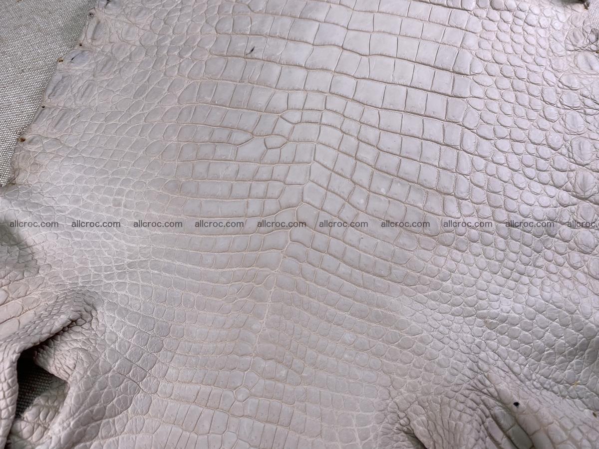 Crocodile skin belly part 40cm cappuccino color 1510 Foto 5