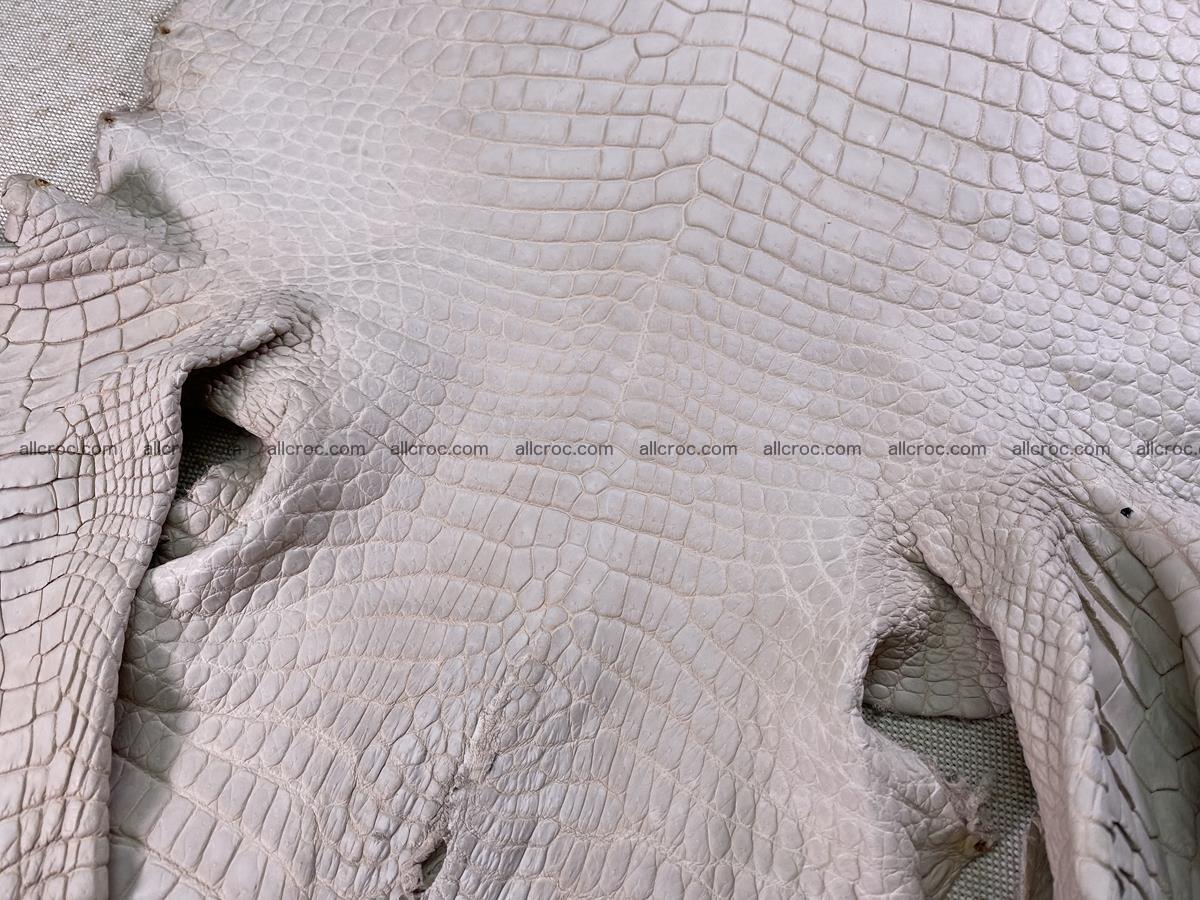 Crocodile skin belly part 40cm cappuccino color 1510 Foto 6