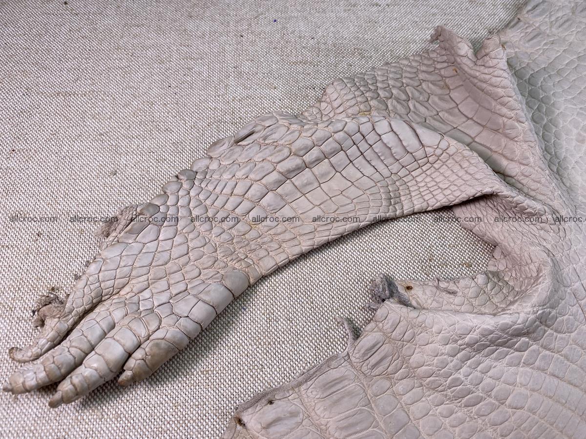 Crocodile skin belly part 40cm cappuccino color 1510 Foto 7