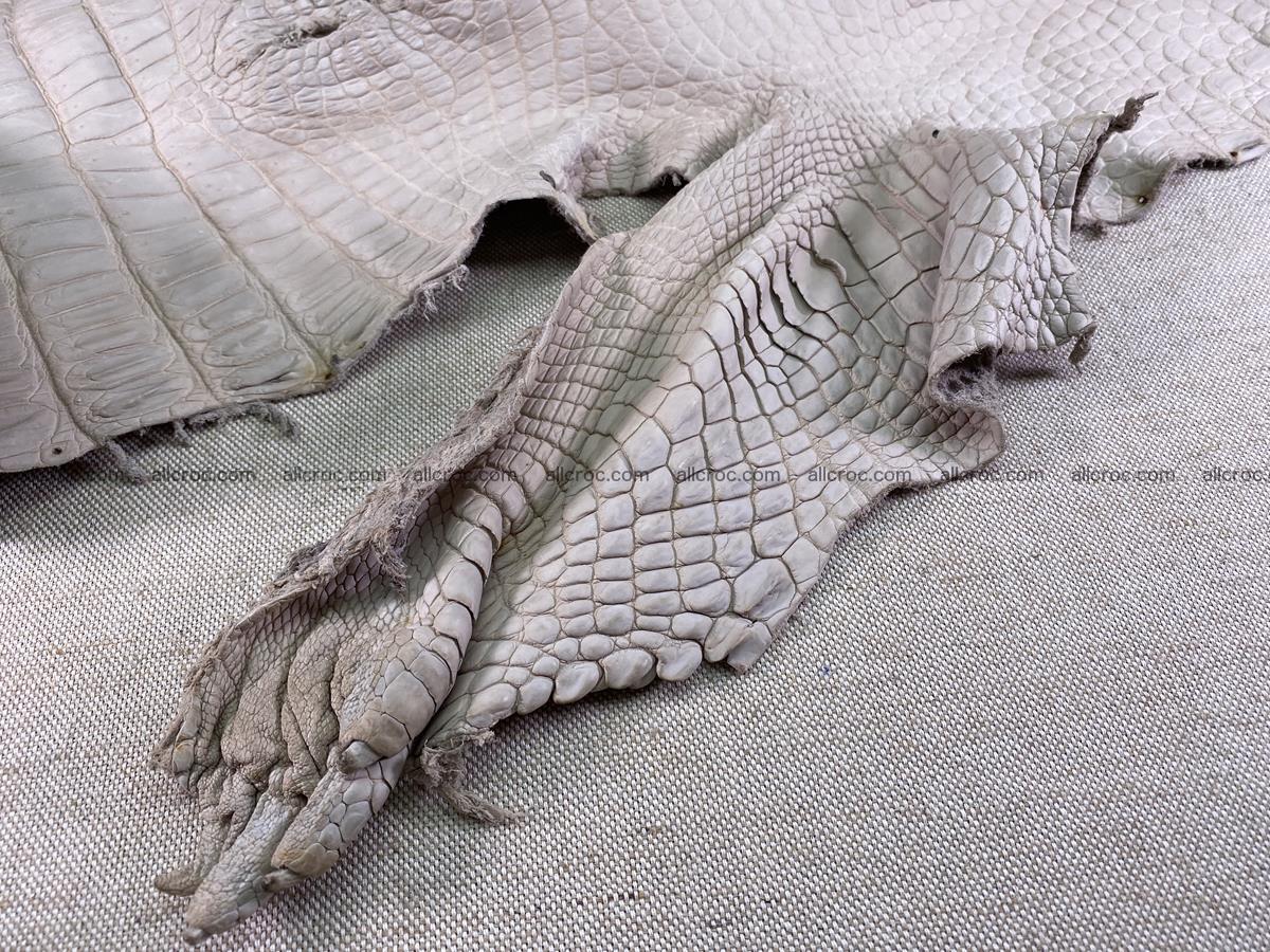 Crocodile skin belly part 40cm cappuccino color 1510 Foto 8