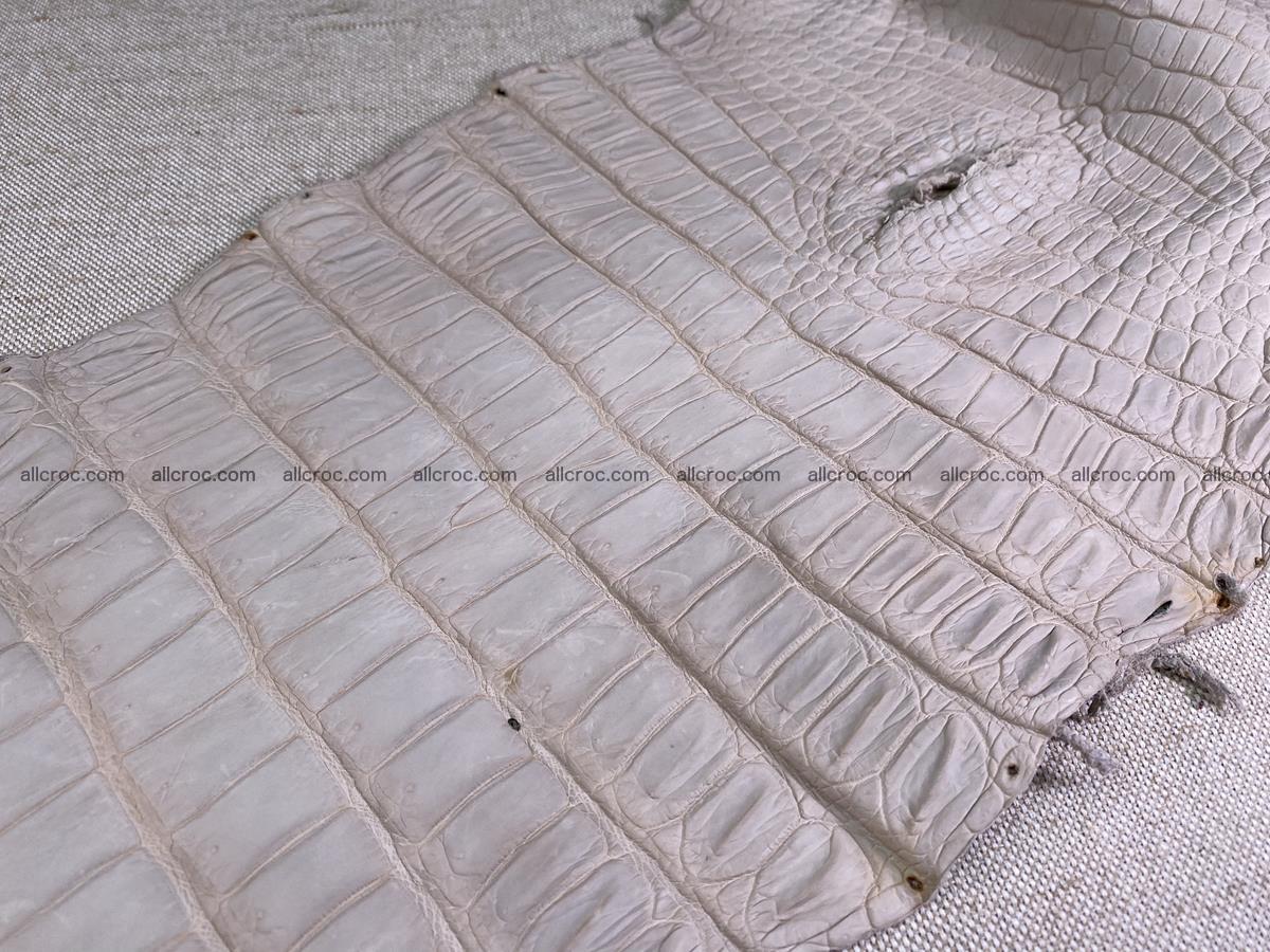 Crocodile skin belly part 40cm cappuccino color 1510 Foto 9