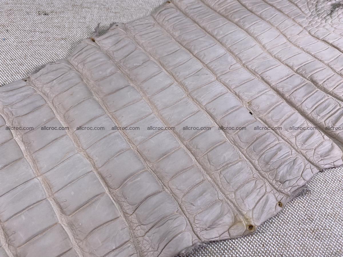 Crocodile skin belly part 40cm cappuccino color 1510 Foto 10