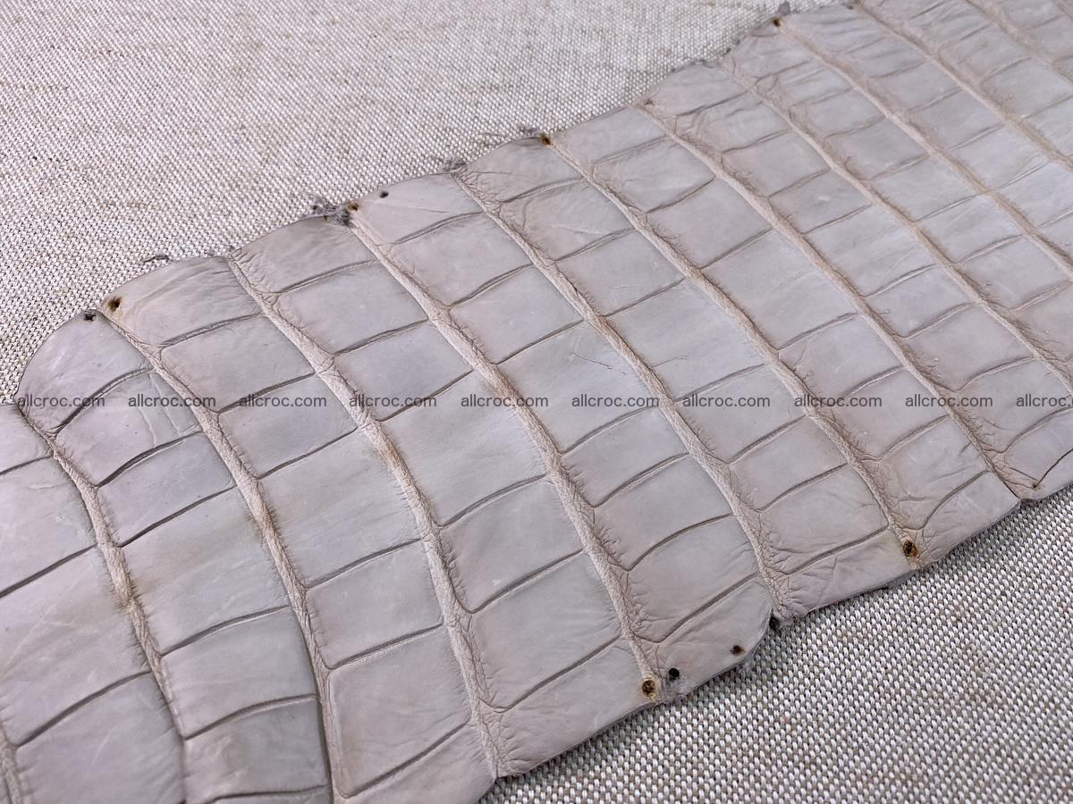 Crocodile skin belly part 40cm cappuccino color 1510 Foto 12