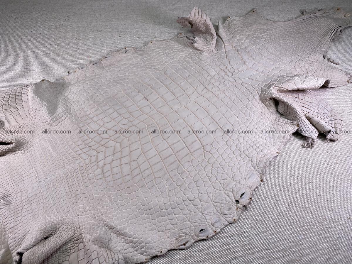 Crocodile skin belly part 41cm cappuccino color 1511 Foto 1