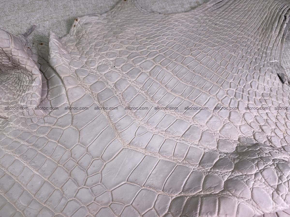 Crocodile skin belly part 41cm cappuccino color 1511 Foto 2