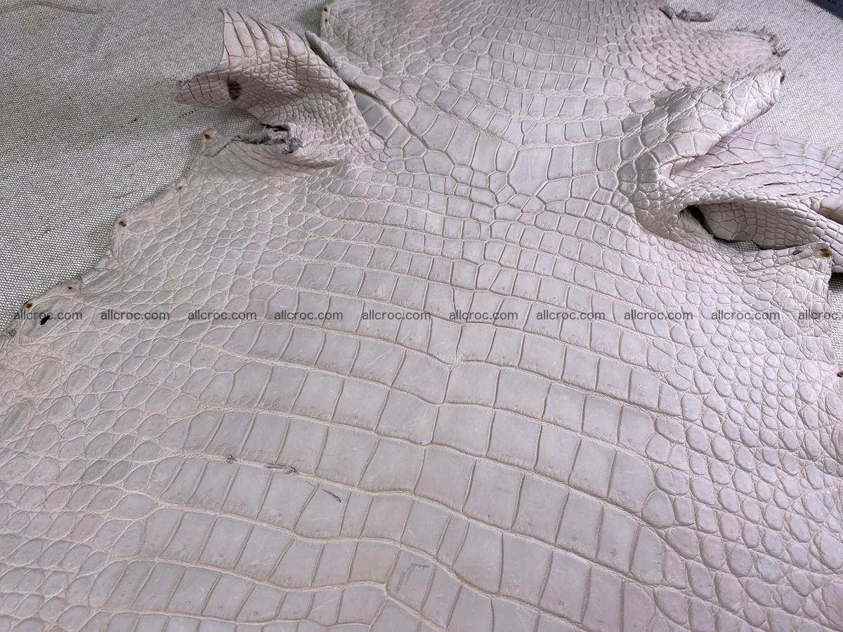 Crocodile skin belly part 41cm cappuccino color 1511 Foto 3