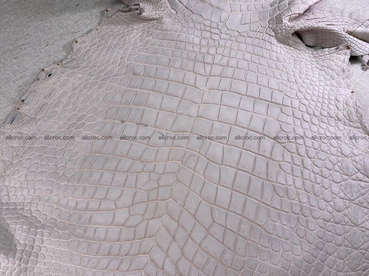 Crocodile skin belly part 41cm cappuccino color 1511 Foto 4