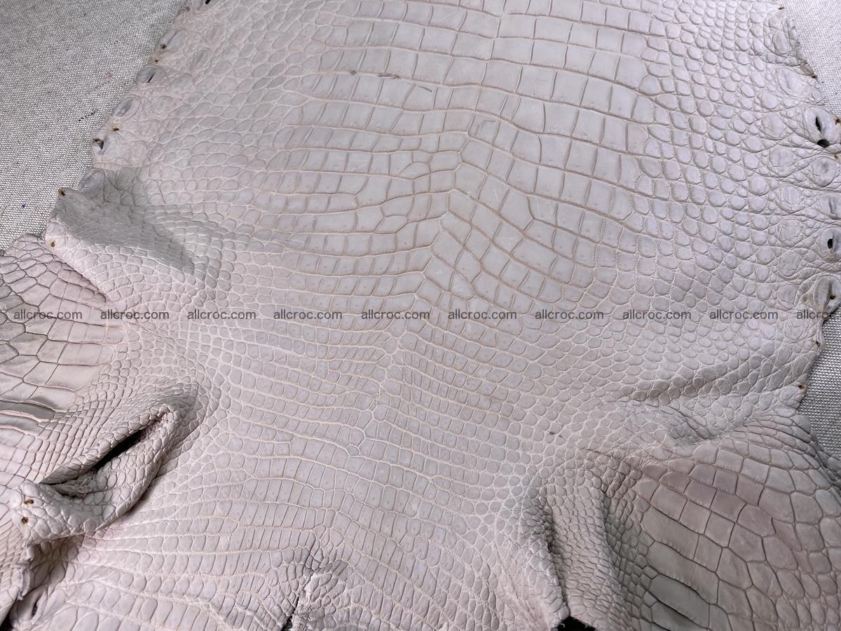 Crocodile skin belly part 41cm cappuccino color 1511 Foto 6