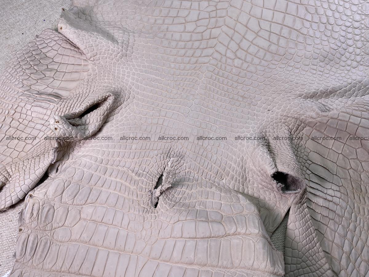 Crocodile skin belly part 41cm cappuccino color 1511 Foto 7