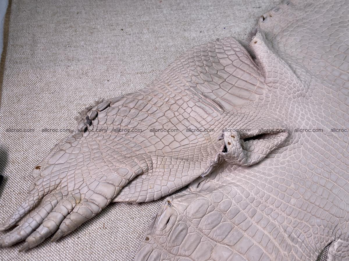 Crocodile skin belly part 41cm cappuccino color 1511 Foto 9