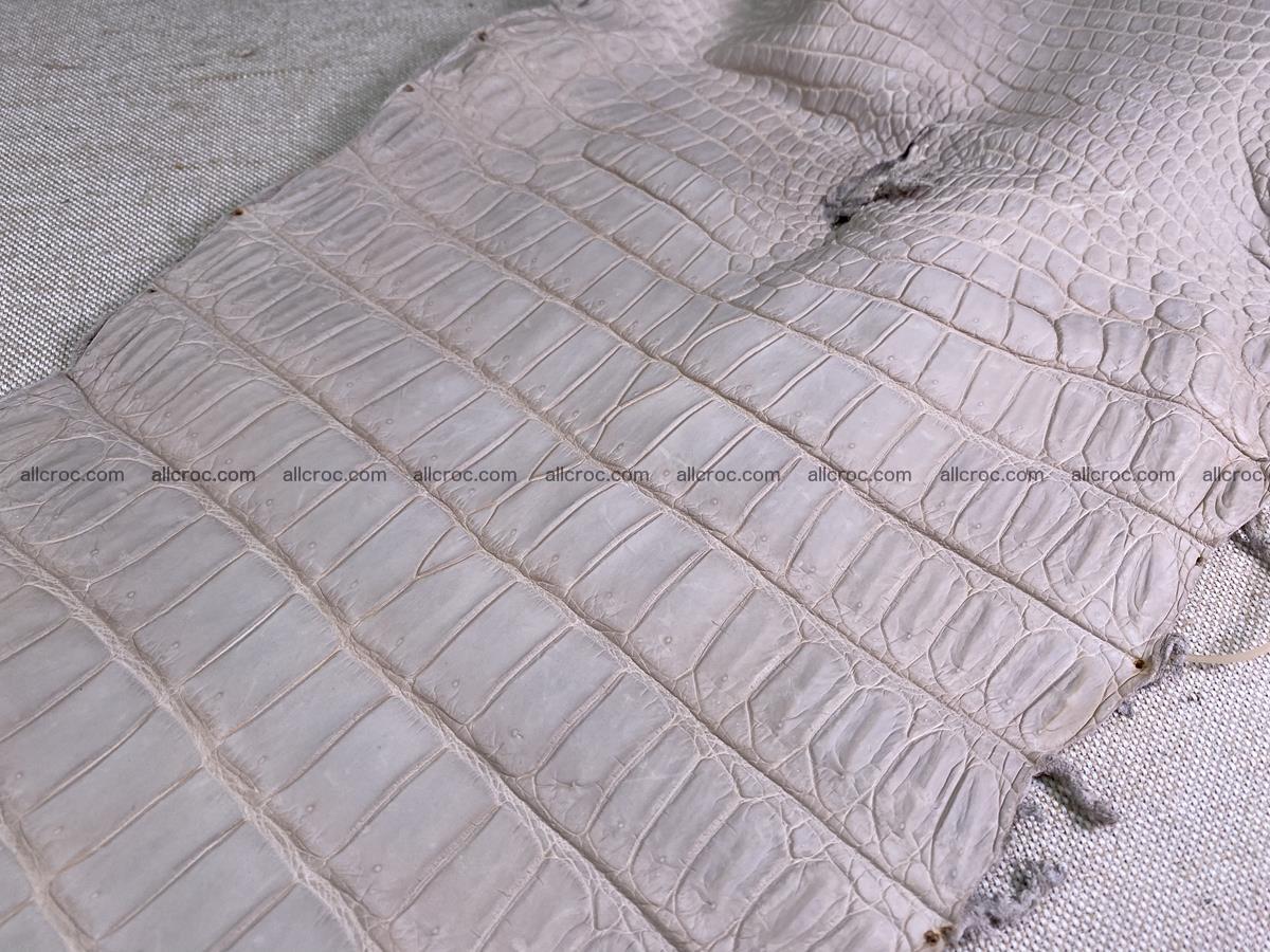 Crocodile skin belly part 41cm cappuccino color 1511 Foto 11
