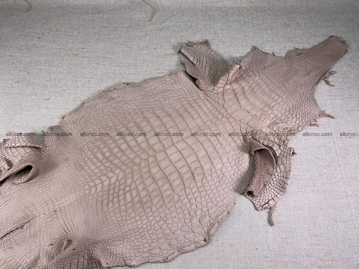 Crocodile skin belly part 29cm cappuccino color 1534 Foto 1