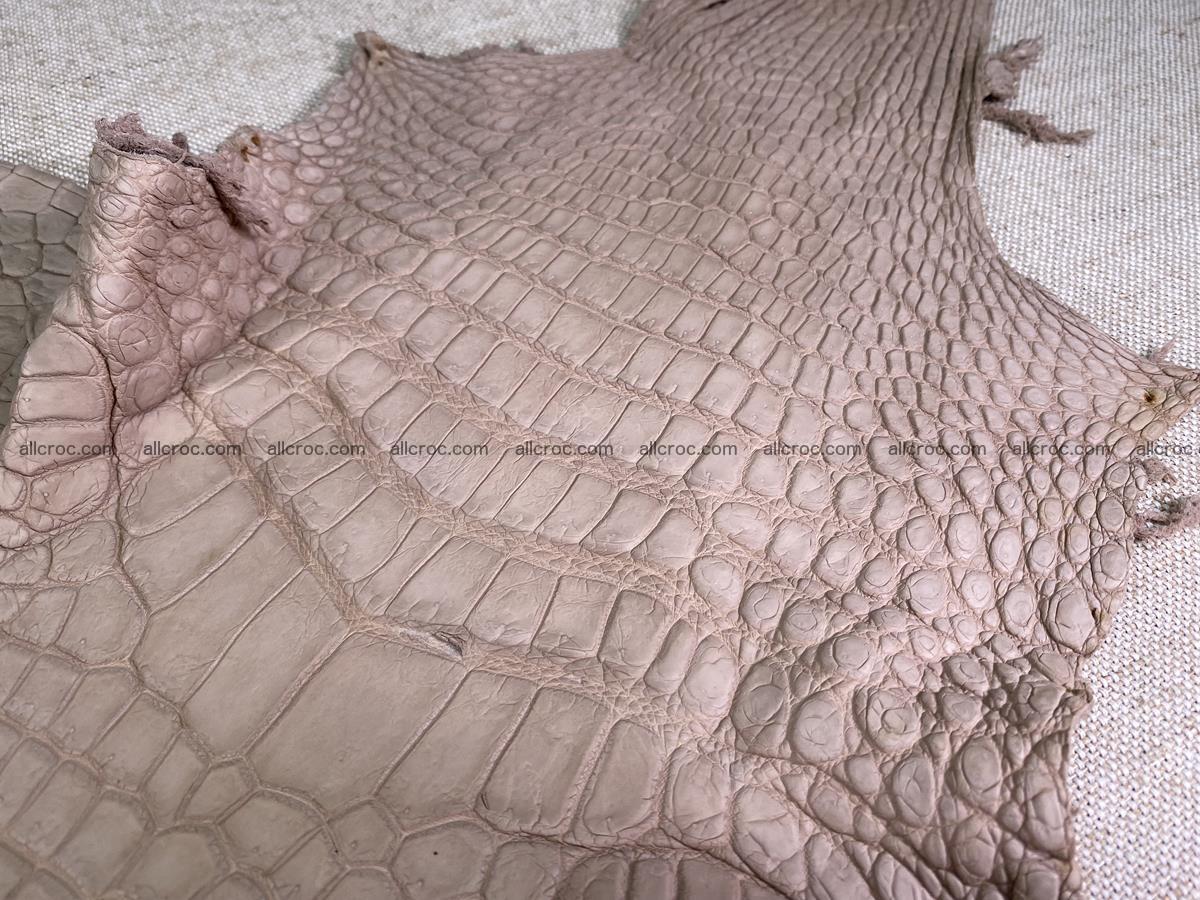 Crocodile skin belly part 29cm cappuccino color 1534 Foto 2