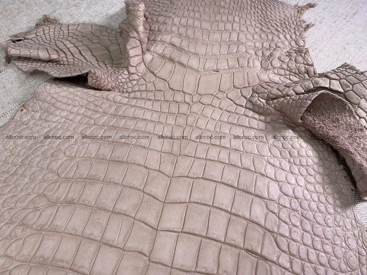 Crocodile skin belly part 29cm cappuccino color 1534 Foto 3