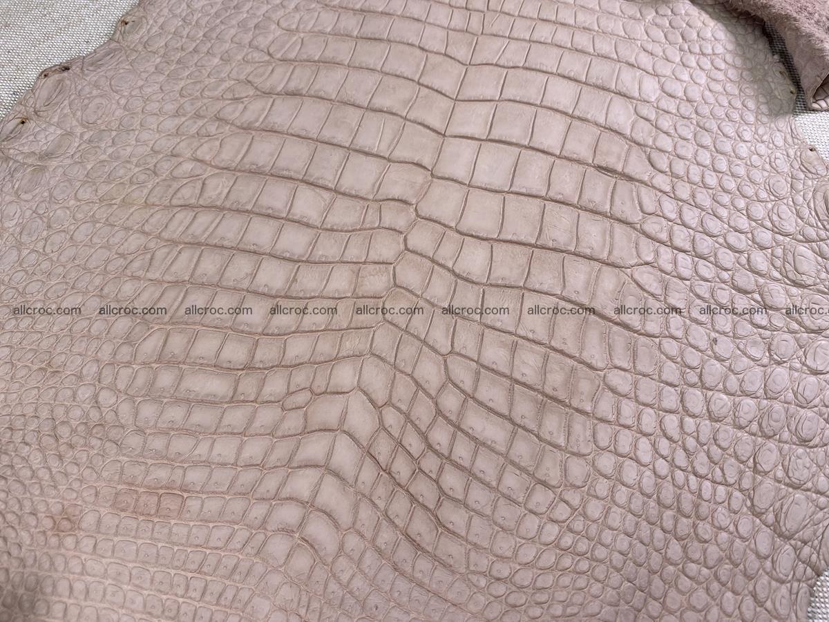 Crocodile skin belly part 29cm cappuccino color 1534 Foto 15