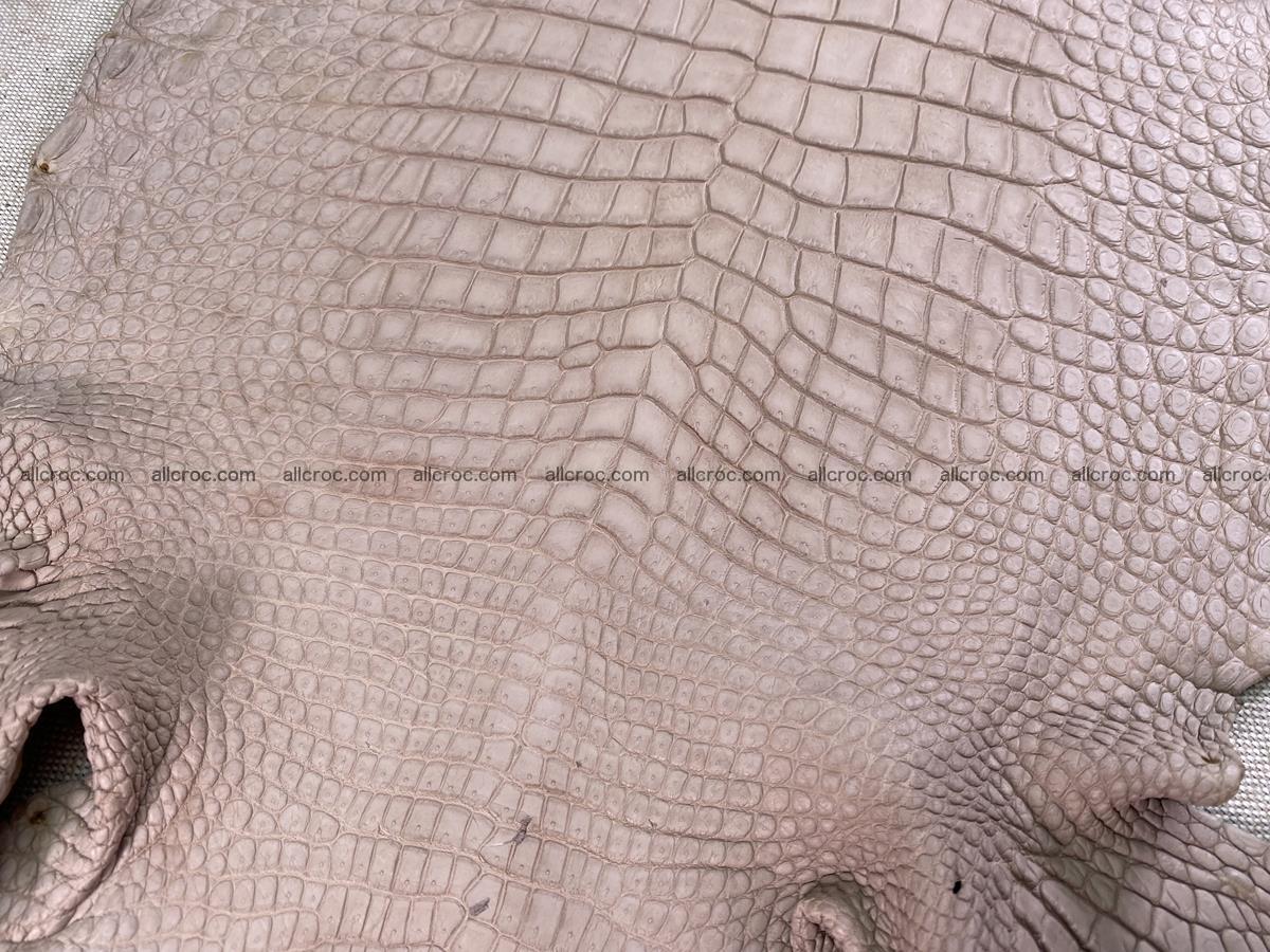 Crocodile skin belly part 29cm cappuccino color 1534 Foto 13