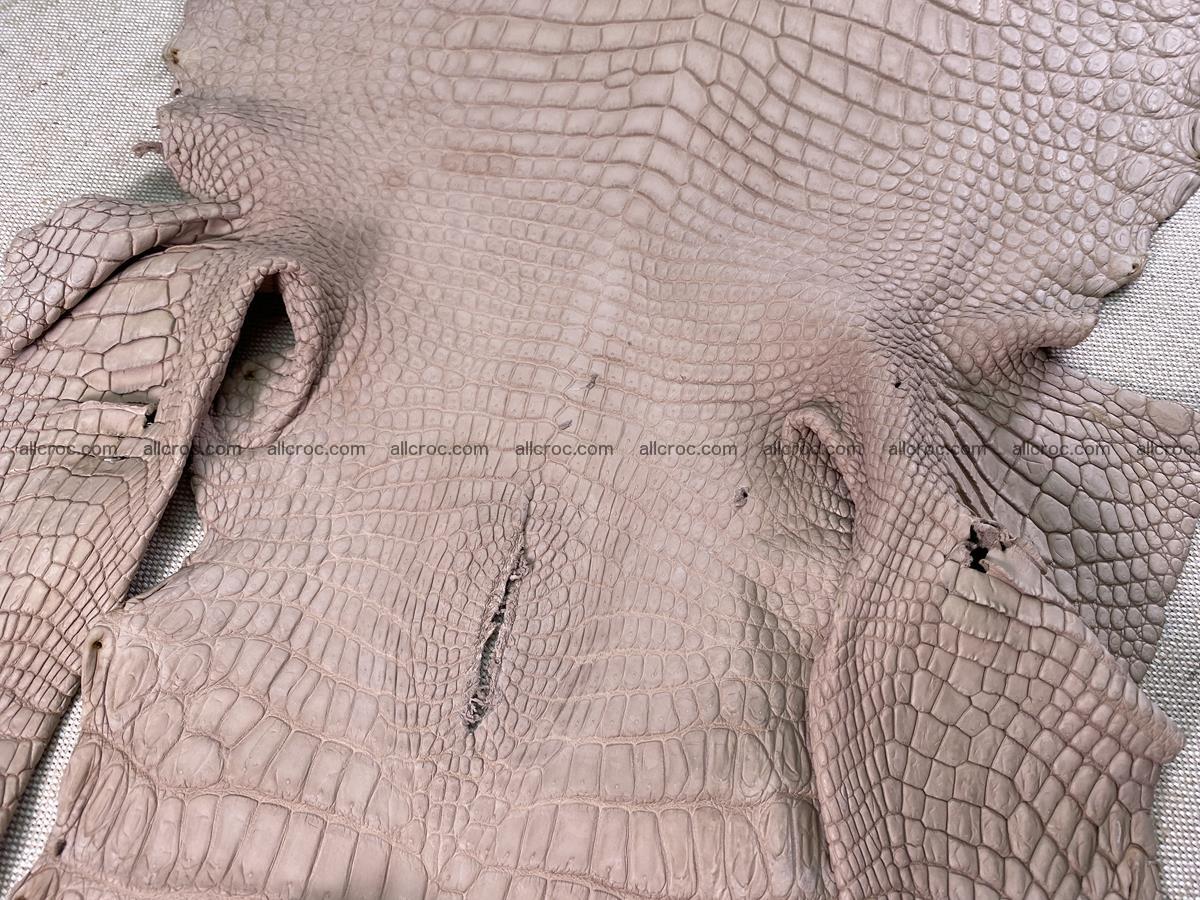 Crocodile skin belly part 29cm cappuccino color 1534 Foto 12
