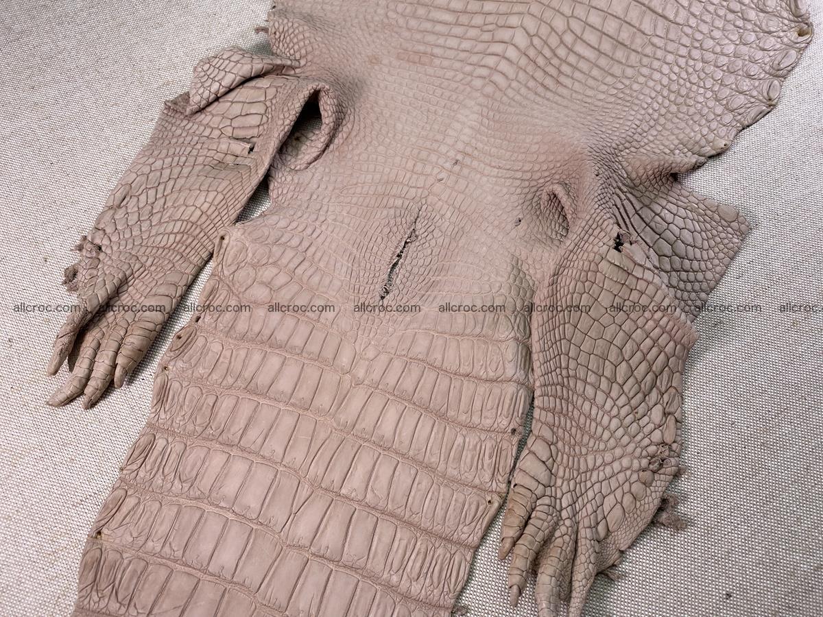Crocodile skin belly part 29cm cappuccino color 1534 Foto 14